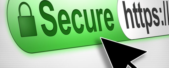 How To Stay Secure in an Internet Security Jungle